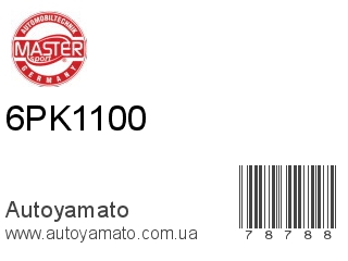 6PK1100 (MASTER SPORT)